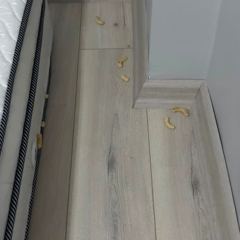 Özkök Temizlikte Yetersiz Temizlik Ve Saygısız Çalışan Davranışı