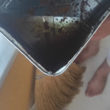 Ayçiçek Yağının Paslı Tabanı Ve Koku Değişikliği