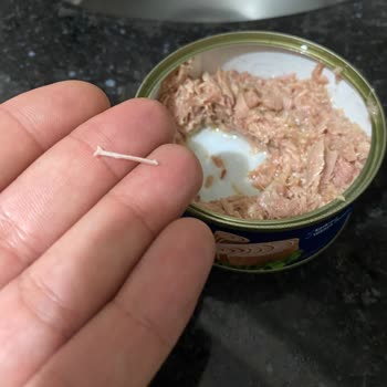 Derya Marka Ton Balığı Kutularında Kılçık Çıktığı İçin İade Talebi