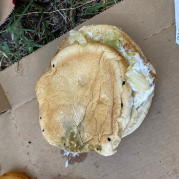 Küflü Hamburger Teslimatı Sağlık Riski Yaratıyor Ve İade Bekleniyor