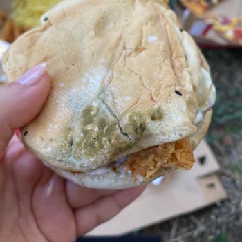 Küflü Hamburger Teslimatı Sağlık Riski Yaratıyor Ve İade Bekleniyor