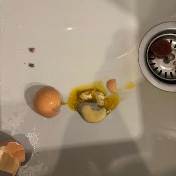 Migros Natürköy Yumurta’da Gelişmiş Embriyo Ve Ölü Civciv Görüntüsü