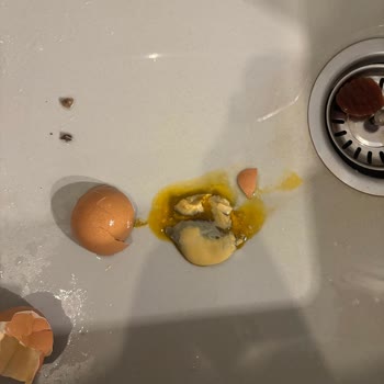 Migros Natürköy Yumurta’da Gelişmiş Embriyo Ve Ölü Civciv Görüntüsü