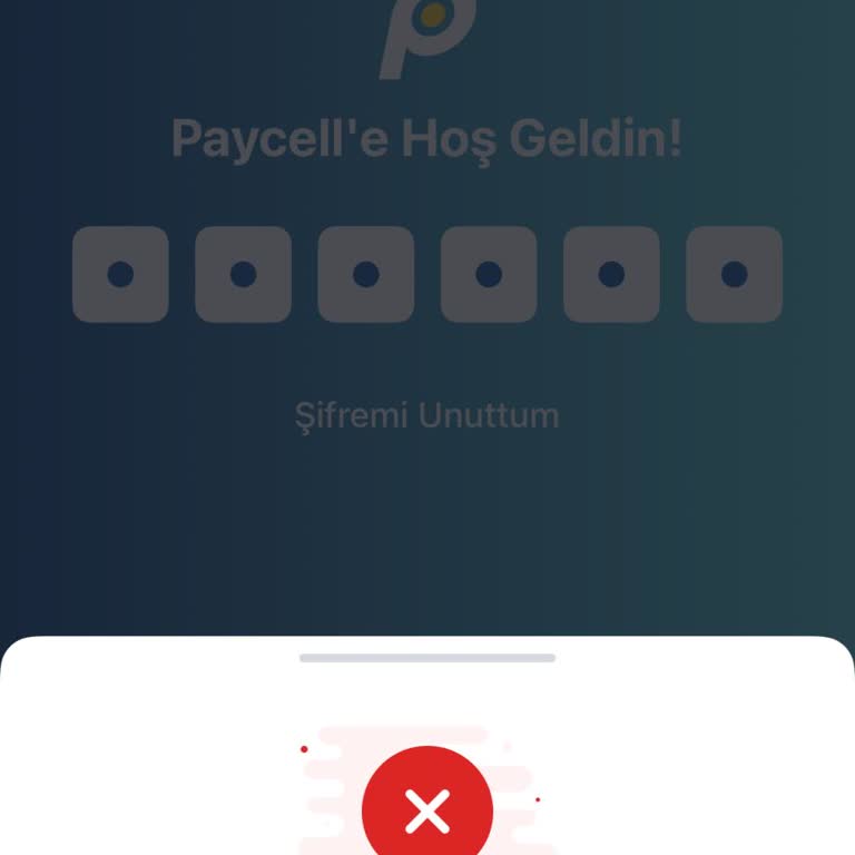 Paycell Dijital Cüzdan Hesabım Kilitlenmiş Ve 14.700 TL Bakiyeme Erişemiyorum