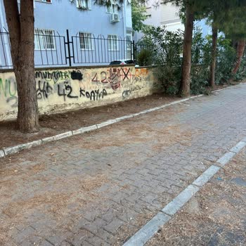 Kuruçeşme Mahallesi Parkında Temizlik Ve Hijyen Talebi