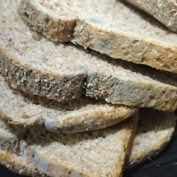 Ambalajda Son Kullanma Tarihi Olmayan Ve Küflü Ekmek İçin İade Sorunu