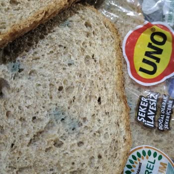 Ambalajda Son Kullanma Tarihi Olmayan Ve Küflü Ekmek İçin İade Sorunu