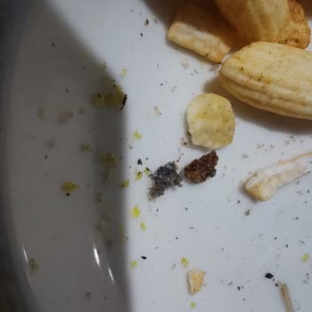 Barby Cips Yabancı Maddeler Ve Kirli, Hijyenik Olmayan Bir Görünümle Karşılaştım