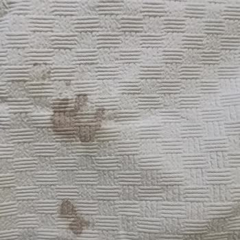 Ayvalık Sun Hotel'de Kirli Oda Ve Saygısız Personel
