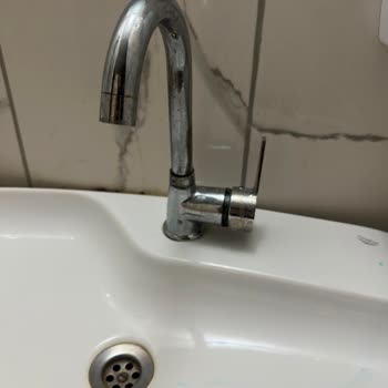 Tahta Kurusu Ve Hijyen Sorunları Nedeniyle Para İadesi Reddedildi