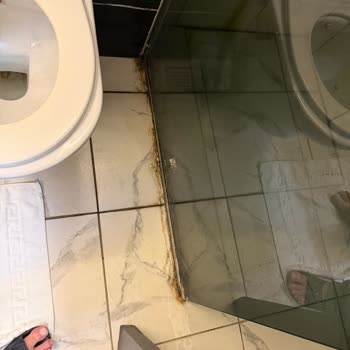 Tahta Kurusu Ve Hijyen Sorunları Nedeniyle Para İadesi Reddedildi