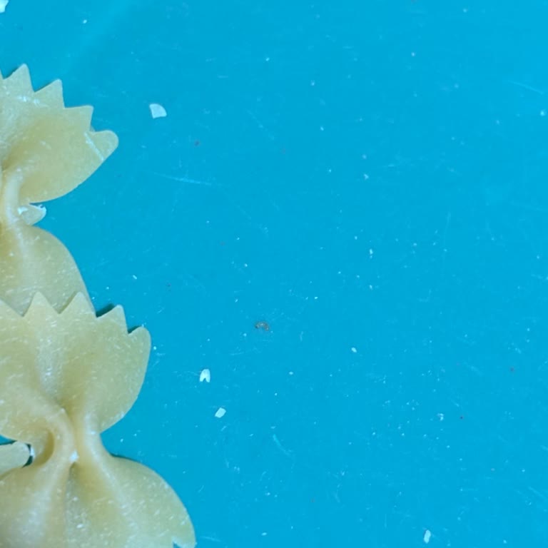 Barilla Farfalle Makarnasında Böcek Keşfi Ve Hijyen Endişesi