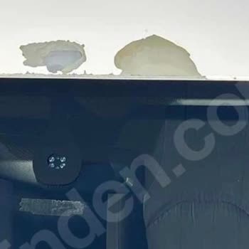 Seat Leon 2013, Pintura del Techo Se Desprende Crónicamente