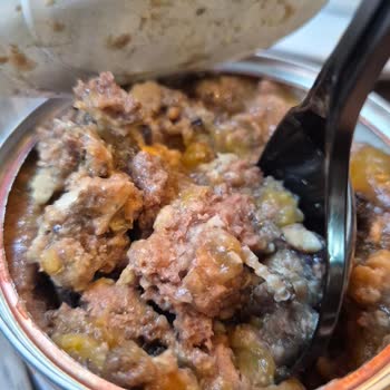 Encuentro Moho t Partes Sospechosas en Lata de Comida Húmeda Farmina