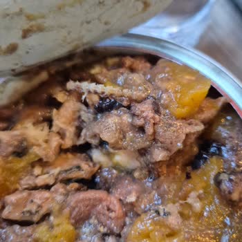 Encuentro Moho t Partes Sospechosas en Lata de Comida Húmeda Farmina
