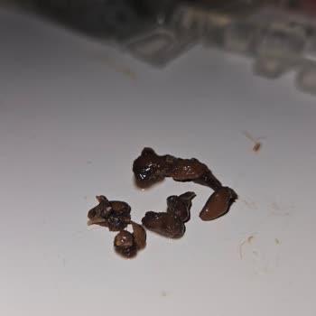 Objetos extraños en comida N&D Farmina, solicito revisión urgente