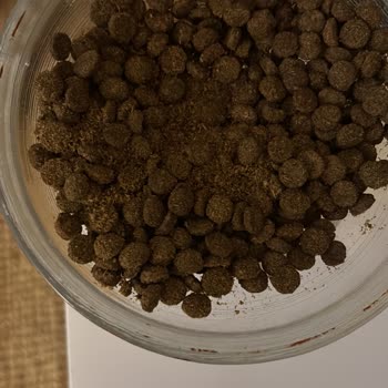 Farmina N&D Neutered,  El Alimento salió en Polvo en Vez de Granulado