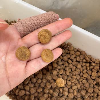 Croquetas extrañas en Farmina N&D Tropical, solicito envío de paquete nuevo