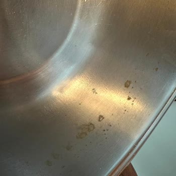 Bosch Bulaşık Makinesinde Temizleme Sorunu, Buzdolabında Buzlanma Ve Servis İhmali