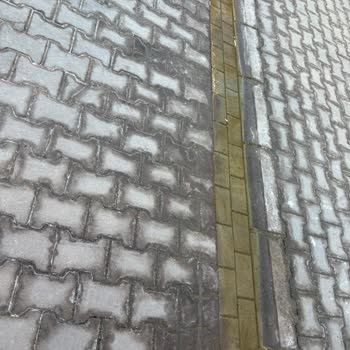 Aydın Seapoint Kuş Odası Otelinde Hijyen Felaketi Ve Giriş Reddi