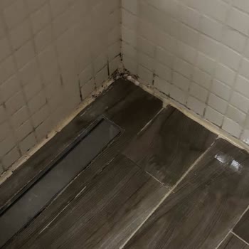 Marcan Beach Hotel Konaklama Boyunca Odanın Hijyen Ve Rutubet Koşullarıyla İlgili Sorunlar Yaşadım