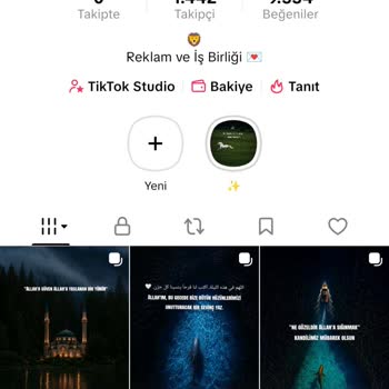 TikTok Reklamı Sahte Takipçilerle Yönlendirildi Ve Bütçe Boşa Gitti