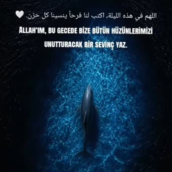 TikTok Reklamı Sahte Takipçilerle Yönlendirildi Ve Bütçe Boşa Gitti