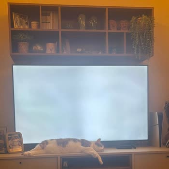 Samsung TV'lerde Sol Panel Kararması Ve Görüntü Bozulması