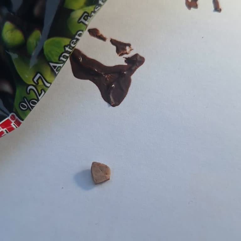 Çikolata İçinde Taş Parçası Bulunması Sağlık Ve Güvenlik Sorunu