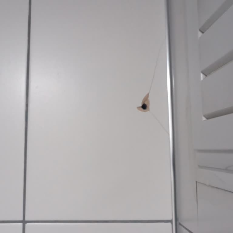 Superonline Montajı Sırasında Banyo Fayansına Gelen Zarar Ve Cevapsız Müşteri Hizmetleri
