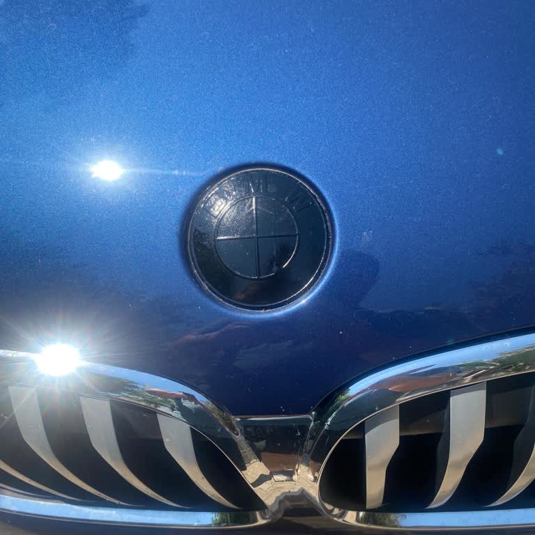 BMW X1'de Düşen Ön Logo İçin Ücretsiz Değişim Talebi