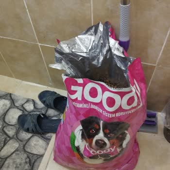 Bozulmuş Goody Köpek Maması İçin İade Talebi