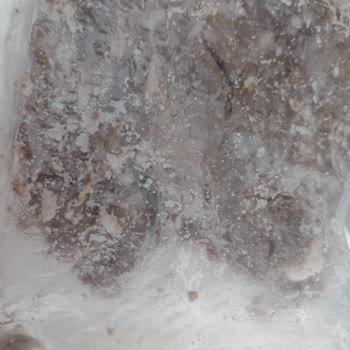 Ezik Kolideki Peynir Ve Et Ürünlerinde Hijyen Ve Güvenlik Sorunu