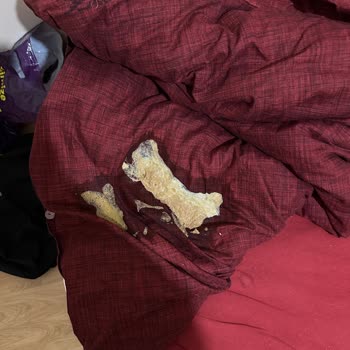 Caracal Pet Kedi Maması Sahte, Kedilerde Ağır Sağlık Sorunları