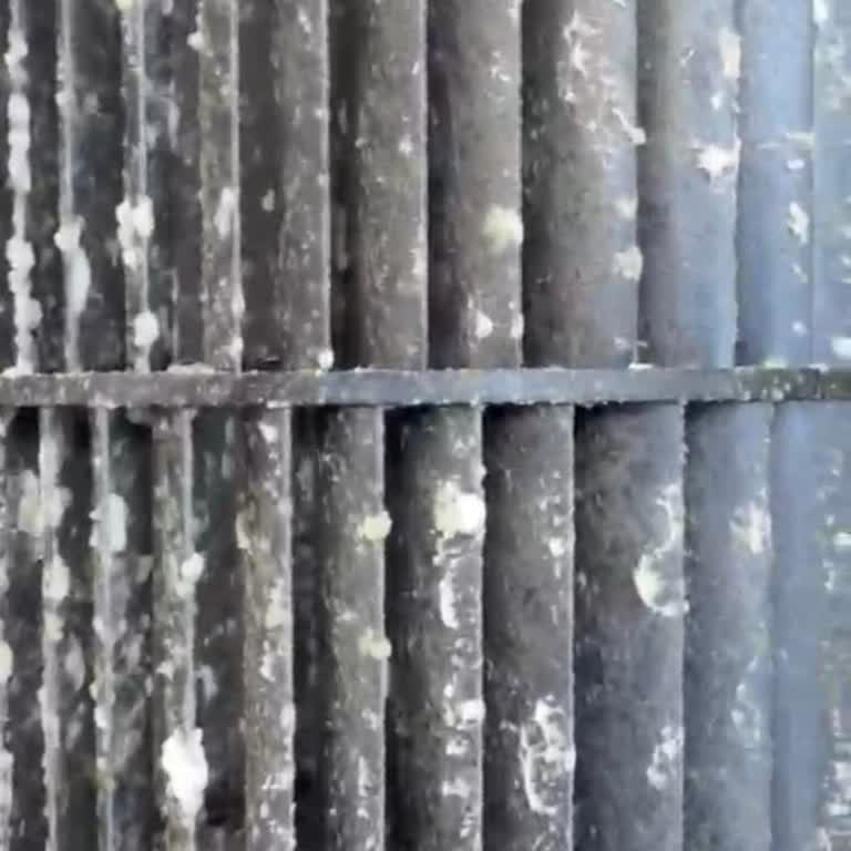 Bakım Sonrası Koku Ve Küf Problemi İçin İade Talebi