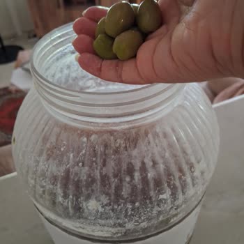 Boltaç Zeytinyağı Tarafından Gönderilen Zeytinin Lezzetsiz Kalitesi Düşük Olması