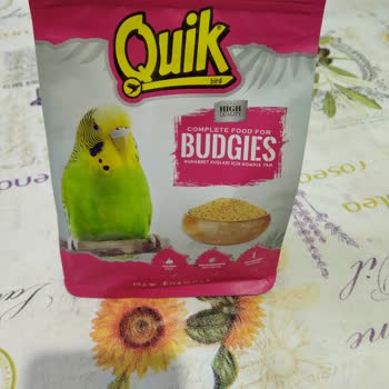 Quik Pet Food Muhabbet Kuşu Yemi Kabuğu Alınmamış Yulaflarla Akıllı Yemlikte Tıkanma Sorunu