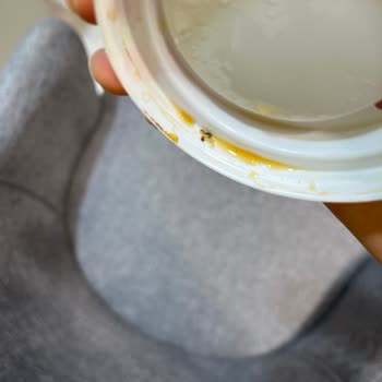 Starbucks Şubesinde Kahveden Çıkan Böcek Müşteri Güvenini Sarsıyor