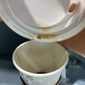 Starbucks Şubesinde Kahveden Çıkan Böcek Müşteri Güvenini Sarsıyor