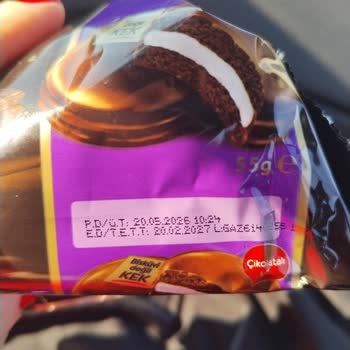 Küflü Luppo Sandviç Kek Çocuklarda Kusma Ve Mide Bulantısına Yol Açtı