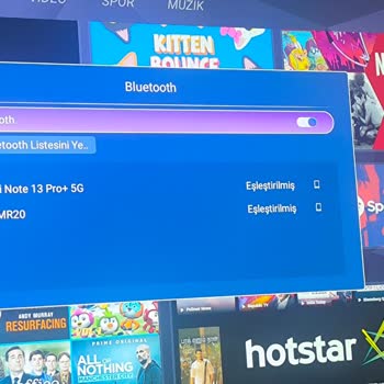 Skyteck TV'de Piksel Bozukluğu Ve Sihirli Kumanda Çalışmıyor