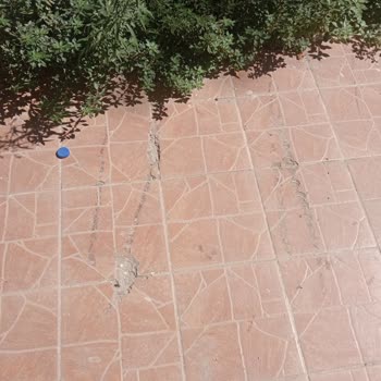 Aras Yapı İnşaat’ın İhmal Nedeniyle Dış Cephe Ve Bahçe Hasarları