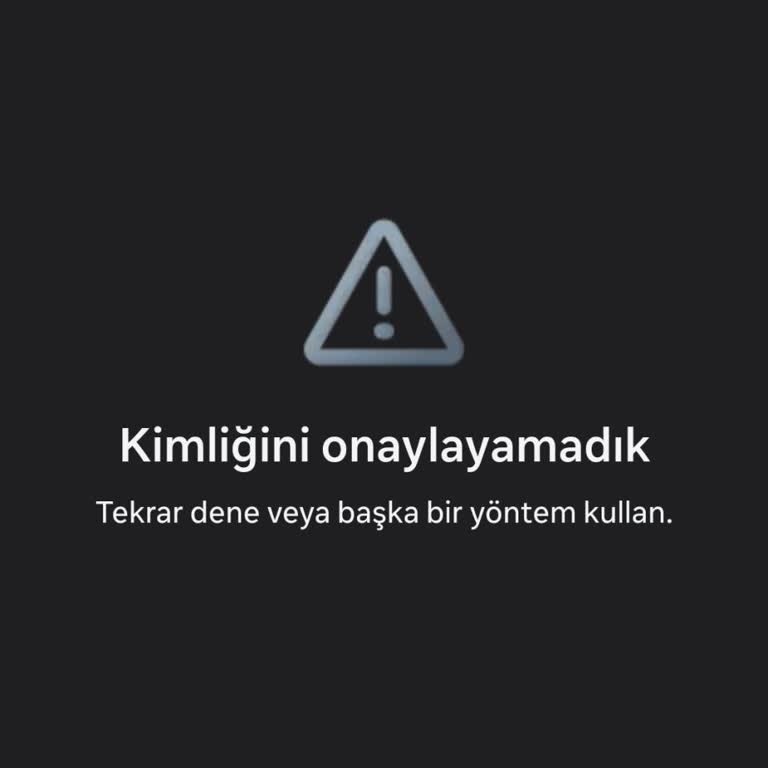 Instagram Hesabına Erişim İçin Selfie Doğrulama Hatası Ve Alternatif Çözüm Talebi