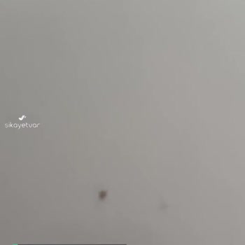 Bellona Loretto Yemek Masası Hüsranı!