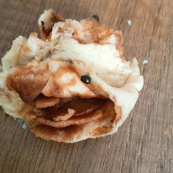 Böcek Ve Yumurta İçeren Dondurulmuş Dönerde Hijyen Skandalı