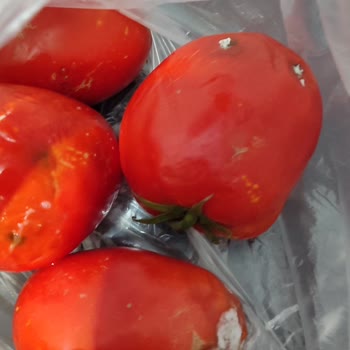 Migros Siparişimde Çürük Meyve, İade Ve Açıklama Talebi