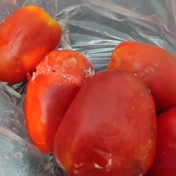 Migros Siparişimde Çürük Meyve, İade Ve Açıklama Talebi