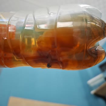 Lipton Ice Tea Şişesinde Larva Ve Sümüksü Cisimler Tespit Edildi