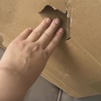 Kırık Suluk Ve Yırtık Kargo Kutusu: Çözüm Talebi