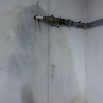 Patlayan Su Hattı Ve Bodrumda Su Baskını İçin Acil Onarım Talebi